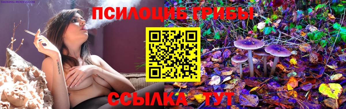 Заводоуковск  Галлюциногенные грибы прущие грибы  Вход с VPN 